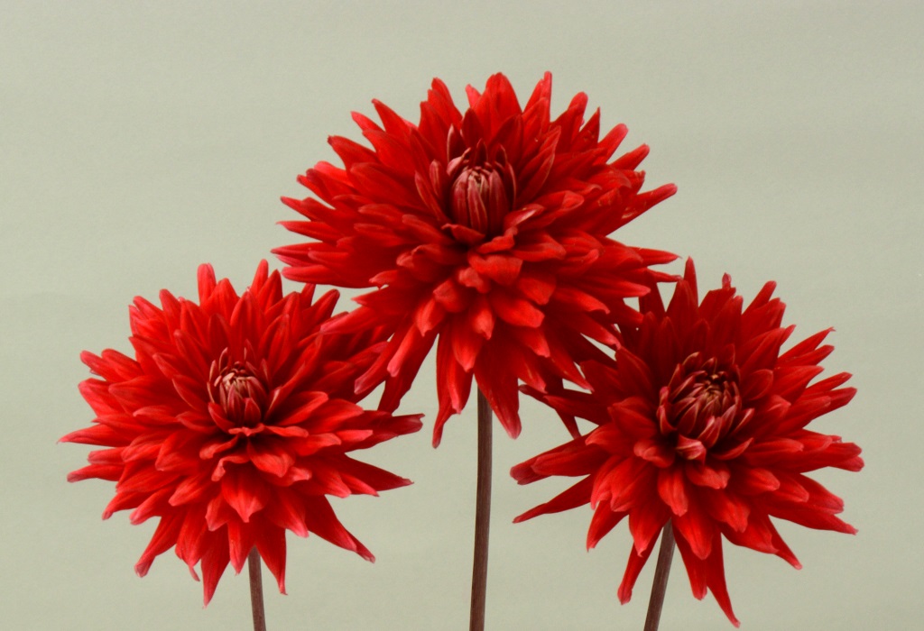 16a17b2c9c7c2886b845093683b5e8