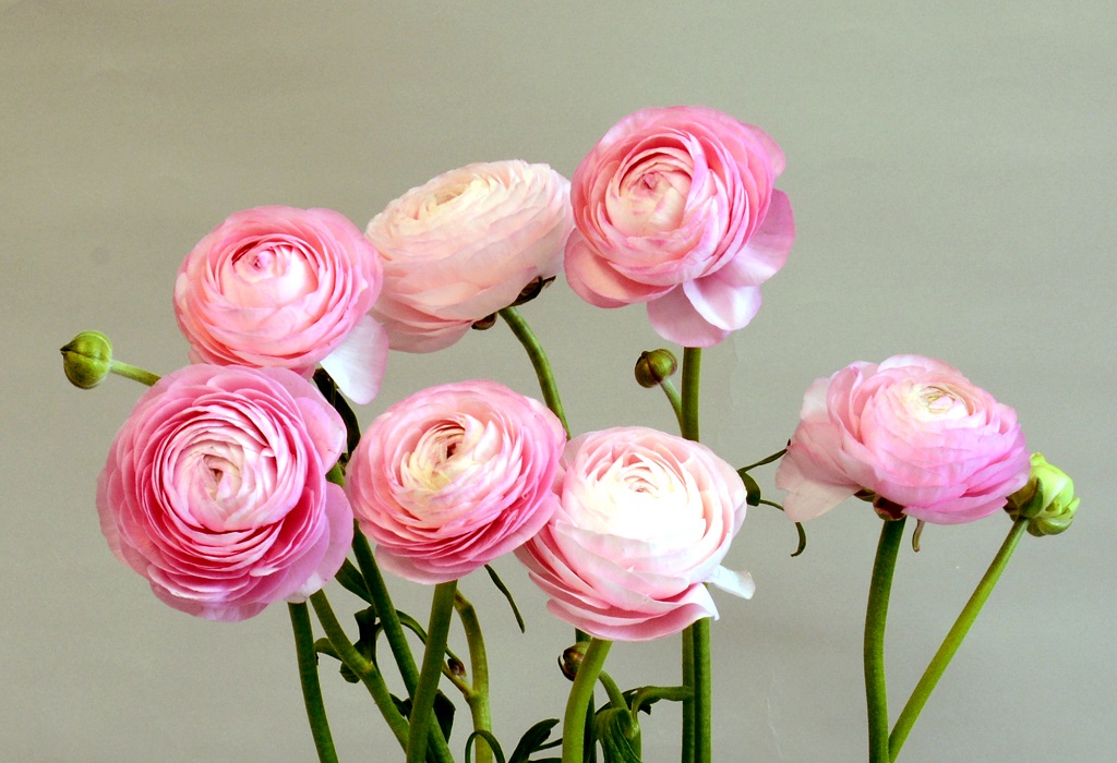 c66c84a983fc02ea91b3934058e4bb