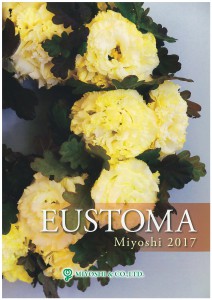 miyoshi-eustoma2017