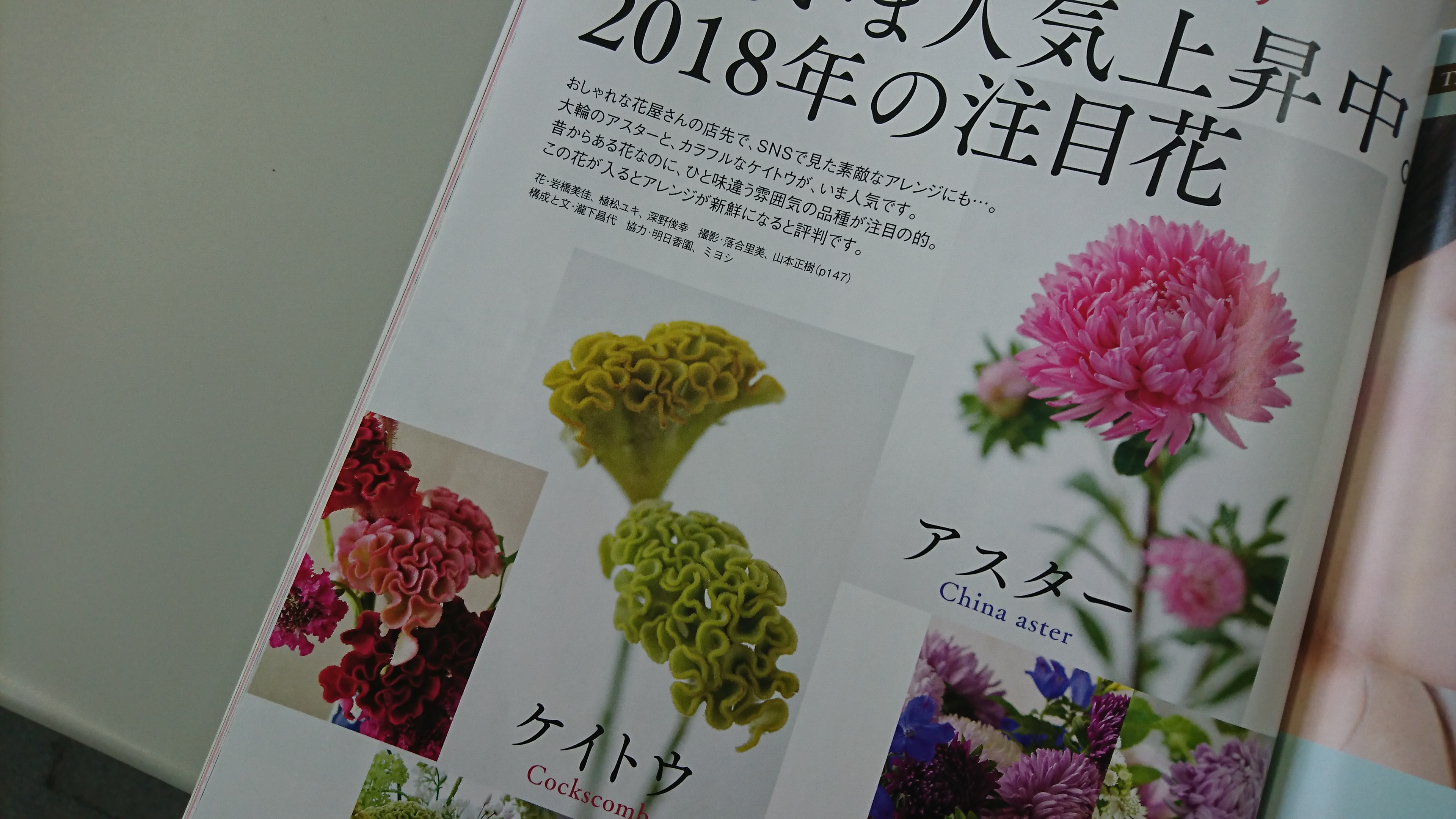 イチ押しアスター 花時間春号 に掲載されました 株式会社ミヨシ