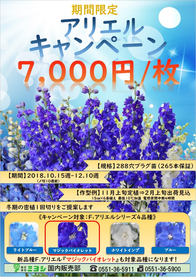 デルフィニウム アリエルキャンペーン 18 受付中 株式会社ミヨシ デルフィニウム アリエルキャンペーン 18 受付中 株式会社ミヨシ